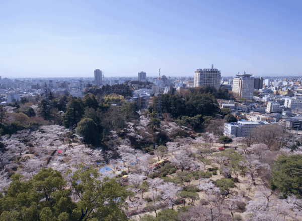 宇都宮市で500万円の中古住宅は買える？購入の注意点と活用方法