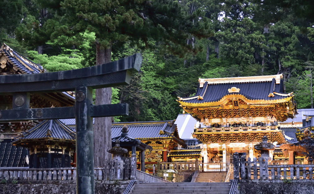 栃木県で活用できるリフォーム補助金の種類