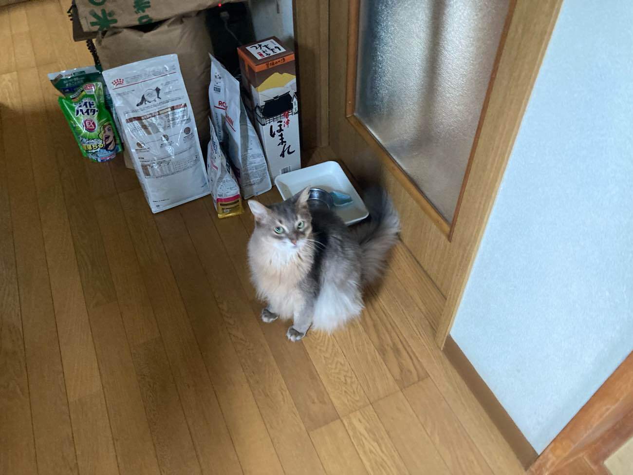 古くなった襖の張替え工事（矢板市）